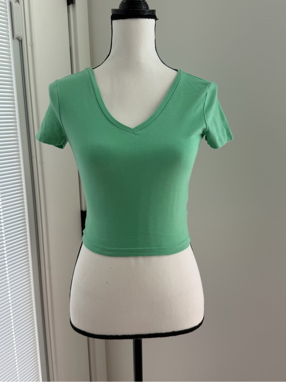 wild fable Mint Green V-Neck Crop Top